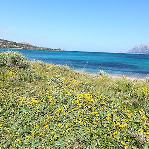 Stanza al Lungomare